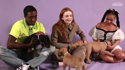 2022-05-27_-_BuzzFeed_Celeb_-_The_Cast_of_Stranger_Things_Plays_With_Puppies_mp42681.jpg