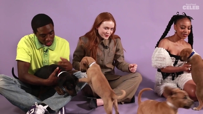 2022-05-27_-_BuzzFeed_Celeb_-_The_Cast_of_Stranger_Things_Plays_With_Puppies_mp42688.jpg