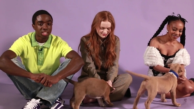 2022-05-27_-_BuzzFeed_Celeb_-_The_Cast_of_Stranger_Things_Plays_With_Puppies_mp42775.jpg
