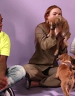 Filename=2022-05-27_-_BuzzFeed_Celeb_-_The_Cast_of_Stranger_Things_Plays_With_Puppies_mp42272.jpg
Filesize=699KiB
Dimensions=1920x1080
Date added=Jul 12, 2022 2022-05-27_-_BuzzFeed_Celeb_-_The_Cast_of_Stranger_Things_Plays_With_Puppies_mp42272.jpg