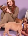 Filename=2022-05-27_-_BuzzFeed_Celeb_-_The_Cast_of_Stranger_Things_Plays_With_Puppies_mp42403.jpg
Filesize=780KiB
Dimensions=1920x1080
Date added=Jul 12, 2022 2022-05-27_-_BuzzFeed_Celeb_-_The_Cast_of_Stranger_Things_Plays_With_Puppies_mp42403.jpg