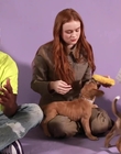 Filename=2022-05-27_-_BuzzFeed_Celeb_-_The_Cast_of_Stranger_Things_Plays_With_Puppies_mp42498.jpg
Filesize=736KiB
Dimensions=1920x1080
Date added=Jul 12, 2022 2022-05-27_-_BuzzFeed_Celeb_-_The_Cast_of_Stranger_Things_Plays_With_Puppies_mp42498.jpg