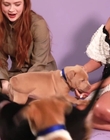 Filename=2022-05-27_-_BuzzFeed_Celeb_-_The_Cast_of_Stranger_Things_Plays_With_Puppies_mp42625.jpg
Filesize=771KiB
Dimensions=1920x1080
Date added=Jul 12, 2022 2022-05-27_-_BuzzFeed_Celeb_-_The_Cast_of_Stranger_Things_Plays_With_Puppies_mp42625.jpg