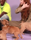 Filename=2022-05-27_-_BuzzFeed_Celeb_-_The_Cast_of_Stranger_Things_Plays_With_Puppies_mp42626.jpg
Filesize=696KiB
Dimensions=1920x1080
Date added=Jul 12, 2022 2022-05-27_-_BuzzFeed_Celeb_-_The_Cast_of_Stranger_Things_Plays_With_Puppies_mp42626.jpg