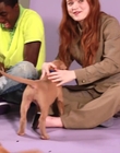 Filename=2022-05-27_-_BuzzFeed_Celeb_-_The_Cast_of_Stranger_Things_Plays_With_Puppies_mp42629.jpg
Filesize=696KiB
Dimensions=1920x1080
Date added=Jul 12, 2022 2022-05-27_-_BuzzFeed_Celeb_-_The_Cast_of_Stranger_Things_Plays_With_Puppies_mp42629.jpg