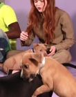Filename=2022-05-27_-_BuzzFeed_Celeb_-_The_Cast_of_Stranger_Things_Plays_With_Puppies_mp42637.jpg
Filesize=772KiB
Dimensions=1920x1080
Date added=Jul 12, 2022 2022-05-27_-_BuzzFeed_Celeb_-_The_Cast_of_Stranger_Things_Plays_With_Puppies_mp42637.jpg