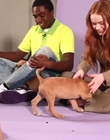 Filename=2022-05-27_-_BuzzFeed_Celeb_-_The_Cast_of_Stranger_Things_Plays_With_Puppies_mp42647.jpg
Filesize=689KiB
Dimensions=1920x1080
Date added=Jul 12, 2022 2022-05-27_-_BuzzFeed_Celeb_-_The_Cast_of_Stranger_Things_Plays_With_Puppies_mp42647.jpg
