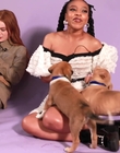 Filename=2022-05-27_-_BuzzFeed_Celeb_-_The_Cast_of_Stranger_Things_Plays_With_Puppies_mp42672.jpg
Filesize=630KiB
Dimensions=1920x1080
Date added=Jul 12, 2022 2022-05-27_-_BuzzFeed_Celeb_-_The_Cast_of_Stranger_Things_Plays_With_Puppies_mp42672.jpg