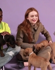 Filename=2022-05-27_-_BuzzFeed_Celeb_-_The_Cast_of_Stranger_Things_Plays_With_Puppies_mp42681.jpg
Filesize=724KiB
Dimensions=1920x1080
Date added=Jul 12, 2022 2022-05-27_-_BuzzFeed_Celeb_-_The_Cast_of_Stranger_Things_Plays_With_Puppies_mp42681.jpg