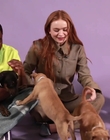 Filename=2022-05-27_-_BuzzFeed_Celeb_-_The_Cast_of_Stranger_Things_Plays_With_Puppies_mp42687.jpg
Filesize=695KiB
Dimensions=1920x1080
Date added=Jul 12, 2022 2022-05-27_-_BuzzFeed_Celeb_-_The_Cast_of_Stranger_Things_Plays_With_Puppies_mp42687.jpg