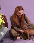 Filename=2022-05-27_-_BuzzFeed_Celeb_-_The_Cast_of_Stranger_Things_Plays_With_Puppies_mp42780.jpg
Filesize=725KiB
Dimensions=1920x1080
Date added=Jul 12, 2022 2022-05-27_-_BuzzFeed_Celeb_-_The_Cast_of_Stranger_Things_Plays_With_Puppies_mp42780.jpg