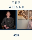 Filename=2022-12-05_-_Jakes_Takes_-_The_Whale_Interview_mp47639.jpg
Filesize=500KiB
Dimensions=1920x1080
Date added=Dec 19, 2022 2022-12-05_-_Jakes_Takes_-_The_Whale_Interview_mp47639.jpg
