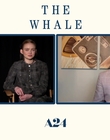 Filename=2022-12-05_-_Jakes_Takes_-_The_Whale_Interview_mp47640.jpg
Filesize=498KiB
Dimensions=1920x1080
Date added=Dec 19, 2022 2022-12-05_-_Jakes_Takes_-_The_Whale_Interview_mp47640.jpg