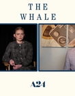 Filename=2022-12-05_-_Jakes_Takes_-_The_Whale_Interview_mp47650.jpg
Filesize=514KiB
Dimensions=1920x1080
Date added=Dec 19, 2022 2022-12-05_-_Jakes_Takes_-_The_Whale_Interview_mp47650.jpg