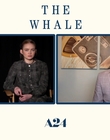 Filename=2022-12-05_-_Jakes_Takes_-_The_Whale_Interview_mp47651.jpg
Filesize=510KiB
Dimensions=1920x1080
Date added=Dec 19, 2022 2022-12-05_-_Jakes_Takes_-_The_Whale_Interview_mp47651.jpg