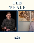 Filename=2022-12-05_-_Jakes_Takes_-_The_Whale_Interview_mp47658.jpg
Filesize=523KiB
Dimensions=1920x1080
Date added=Dec 19, 2022 2022-12-05_-_Jakes_Takes_-_The_Whale_Interview_mp47658.jpg