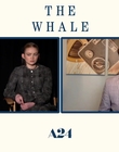 Filename=2022-12-05_-_Jakes_Takes_-_The_Whale_Interview_mp47662.jpg
Filesize=489KiB
Dimensions=1920x1080
Date added=Dec 19, 2022 2022-12-05_-_Jakes_Takes_-_The_Whale_Interview_mp47662.jpg