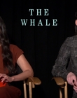 Filename=2022-12-05_-_Jakes_Takes_-_The_Whale_Interview_mp47677.jpg
Filesize=738KiB
Dimensions=1920x1080
Date added=Dec 19, 2022 2022-12-05_-_Jakes_Takes_-_The_Whale_Interview_mp47677.jpg