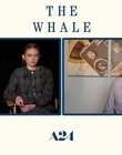Filename=2022-12-05_-_Jakes_Takes_-_The_Whale_Interview_mp47686.jpg
Filesize=486KiB
Dimensions=1920x1080
Date added=Dec 19, 2022 2022-12-05_-_Jakes_Takes_-_The_Whale_Interview_mp47686.jpg