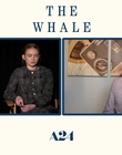 Filename=2022-12-05_-_Jakes_Takes_-_The_Whale_Interview_mp47687.jpg
Filesize=542KiB
Dimensions=1920x1080
Date added=Dec 19, 2022 2022-12-05_-_Jakes_Takes_-_The_Whale_Interview_mp47687.jpg