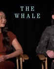 Filename=2022-12-05_-_Jakes_Takes_-_The_Whale_Interview_mp47716.jpg
Filesize=650KiB
Dimensions=1920x1080
Date added=Dec 19, 2022 2022-12-05_-_Jakes_Takes_-_The_Whale_Interview_mp47716.jpg