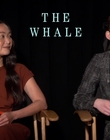 Filename=2022-12-05_-_Jakes_Takes_-_The_Whale_Interview_mp47717.jpg
Filesize=647KiB
Dimensions=1920x1080
Date added=Dec 19, 2022 2022-12-05_-_Jakes_Takes_-_The_Whale_Interview_mp47717.jpg