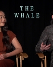 Filename=2022-12-05_-_Jakes_Takes_-_The_Whale_Interview_mp47718.jpg
Filesize=662KiB
Dimensions=1920x1080
Date added=Dec 19, 2022 2022-12-05_-_Jakes_Takes_-_The_Whale_Interview_mp47718.jpg