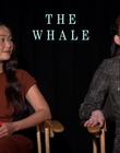 Filename=2022-12-05_-_Jakes_Takes_-_The_Whale_Interview_mp47719.jpg
Filesize=674KiB
Dimensions=1920x1080
Date added=Dec 19, 2022 2022-12-05_-_Jakes_Takes_-_The_Whale_Interview_mp47719.jpg