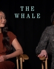 Filename=2022-12-05_-_Jakes_Takes_-_The_Whale_Interview_mp47720.jpg
Filesize=665KiB
Dimensions=1920x1080
Date added=Dec 19, 2022 2022-12-05_-_Jakes_Takes_-_The_Whale_Interview_mp47720.jpg