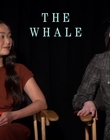 Filename=2022-12-05_-_Jakes_Takes_-_The_Whale_Interview_mp47722.jpg
Filesize=662KiB
Dimensions=1920x1080
Date added=Dec 19, 2022 2022-12-05_-_Jakes_Takes_-_The_Whale_Interview_mp47722.jpg