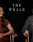 Filename=2022-12-05_-_Jakes_Takes_-_The_Whale_Interview_mp47725.jpg
Filesize=701KiB
Dimensions=1920x1080
Date added=Dec 19, 2022 2022-12-05_-_Jakes_Takes_-_The_Whale_Interview_mp47725.jpg
