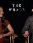 Filename=2022-12-05_-_Jakes_Takes_-_The_Whale_Interview_mp47727.jpg
Filesize=702KiB
Dimensions=1920x1080
Date added=Dec 19, 2022 2022-12-05_-_Jakes_Takes_-_The_Whale_Interview_mp47727.jpg
