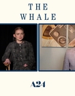 Filename=2022-12-05_-_Jakes_Takes_-_The_Whale_Interview_mp47730.jpg
Filesize=480KiB
Dimensions=1920x1080
Date added=Dec 19, 2022 2022-12-05_-_Jakes_Takes_-_The_Whale_Interview_mp47730.jpg