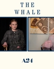 Filename=2022-12-05_-_Jakes_Takes_-_The_Whale_Interview_mp47733.jpg
Filesize=528KiB
Dimensions=1920x1080
Date added=Dec 19, 2022 2022-12-05_-_Jakes_Takes_-_The_Whale_Interview_mp47733.jpg