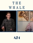 Filename=2022-12-05_-_Jakes_Takes_-_The_Whale_Interview_mp47737.jpg
Filesize=526KiB
Dimensions=1920x1080
Date added=Dec 19, 2022 2022-12-05_-_Jakes_Takes_-_The_Whale_Interview_mp47737.jpg