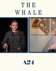 Filename=2022-12-05_-_Jakes_Takes_-_The_Whale_Interview_mp47739.jpg
Filesize=525KiB
Dimensions=1920x1080
Date added=Dec 19, 2022 2022-12-05_-_Jakes_Takes_-_The_Whale_Interview_mp47739.jpg