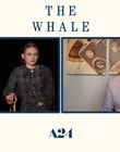 Filename=2022-12-05_-_Jakes_Takes_-_The_Whale_Interview_mp47740.jpg
Filesize=524KiB
Dimensions=1920x1080
Date added=Dec 19, 2022 2022-12-05_-_Jakes_Takes_-_The_Whale_Interview_mp47740.jpg