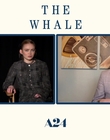 Filename=2022-12-05_-_Jakes_Takes_-_The_Whale_Interview_mp47744.jpg
Filesize=529KiB
Dimensions=1920x1080
Date added=Dec 19, 2022 2022-12-05_-_Jakes_Takes_-_The_Whale_Interview_mp47744.jpg