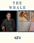 Filename=2022-12-05_-_Jakes_Takes_-_The_Whale_Interview_mp47748.jpg
Filesize=530KiB
Dimensions=1920x1080
Date added=Dec 19, 2022 2022-12-05_-_Jakes_Takes_-_The_Whale_Interview_mp47748.jpg