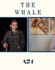 Filename=2022-12-05_-_Jakes_Takes_-_The_Whale_Interview_mp47750.jpg
Filesize=523KiB
Dimensions=1920x1080
Date added=Dec 19, 2022 2022-12-05_-_Jakes_Takes_-_The_Whale_Interview_mp47750.jpg