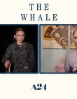 Filename=2022-12-05_-_Jakes_Takes_-_The_Whale_Interview_mp47751.jpg
Filesize=512KiB
Dimensions=1920x1080
Date added=Dec 19, 2022 2022-12-05_-_Jakes_Takes_-_The_Whale_Interview_mp47751.jpg