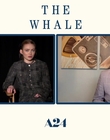 Filename=2022-12-05_-_Jakes_Takes_-_The_Whale_Interview_mp47752.jpg
Filesize=510KiB
Dimensions=1920x1080
Date added=Dec 19, 2022 2022-12-05_-_Jakes_Takes_-_The_Whale_Interview_mp47752.jpg