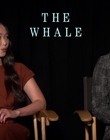 Filename=2022-12-05_-_Jakes_Takes_-_The_Whale_Interview_mp47810.jpg
Filesize=682KiB
Dimensions=1920x1080
Date added=Dec 19, 2022 2022-12-05_-_Jakes_Takes_-_The_Whale_Interview_mp47810.jpg