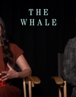 Filename=2022-12-05_-_Jakes_Takes_-_The_Whale_Interview_mp47820.jpg
Filesize=691KiB
Dimensions=1920x1080
Date added=Dec 19, 2022 2022-12-05_-_Jakes_Takes_-_The_Whale_Interview_mp47820.jpg
