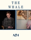 Filename=2022-12-05_-_Jakes_Takes_-_The_Whale_Interview_mp47824.jpg
Filesize=512KiB
Dimensions=1920x1080
Date added=Dec 19, 2022 2022-12-05_-_Jakes_Takes_-_The_Whale_Interview_mp47824.jpg