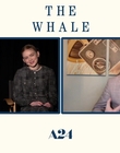 Filename=2022-12-05_-_Jakes_Takes_-_The_Whale_Interview_mp47835.jpg
Filesize=515KiB
Dimensions=1920x1080
Date added=Dec 19, 2022 2022-12-05_-_Jakes_Takes_-_The_Whale_Interview_mp47835.jpg