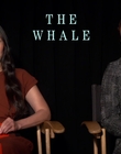Filename=2022-12-05_-_Jakes_Takes_-_The_Whale_Interview_mp47849.jpg
Filesize=672KiB
Dimensions=1920x1080
Date added=Dec 19, 2022 2022-12-05_-_Jakes_Takes_-_The_Whale_Interview_mp47849.jpg