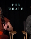 Filename=2022-12-05_-_Jakes_Takes_-_The_Whale_Interview_mp47850.jpg
Filesize=663KiB
Dimensions=1920x1080
Date added=Dec 19, 2022 2022-12-05_-_Jakes_Takes_-_The_Whale_Interview_mp47850.jpg