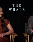 Filename=2022-12-05_-_Jakes_Takes_-_The_Whale_Interview_mp47875.jpg
Filesize=631KiB
Dimensions=1920x1080
Date added=Dec 19, 2022 2022-12-05_-_Jakes_Takes_-_The_Whale_Interview_mp47875.jpg