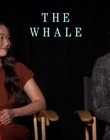 Filename=2022-12-05_-_Jakes_Takes_-_The_Whale_Interview_mp47901.jpg
Filesize=659KiB
Dimensions=1920x1080
Date added=Dec 19, 2022 2022-12-05_-_Jakes_Takes_-_The_Whale_Interview_mp47901.jpg